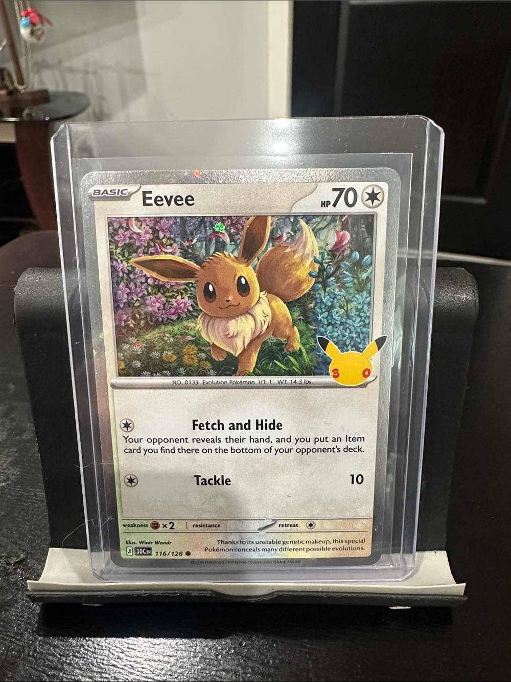 Pokemon 30th Anniversary Eevee Collectible Art Card